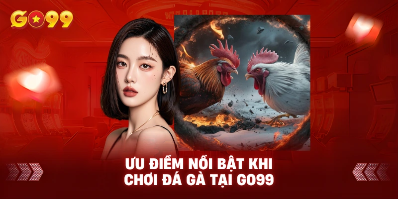 Ưu Điểm Nổi Bật Khi Chơi Đá Gà Tại Go99